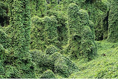 类魂游戏《尘埃异变》免费扩展和主机版12月同步推出